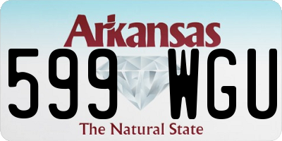 AR license plate 599WGU
