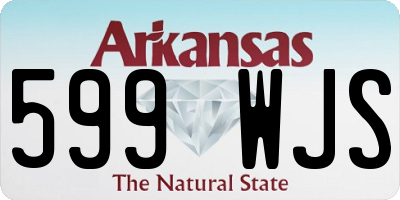 AR license plate 599WJS