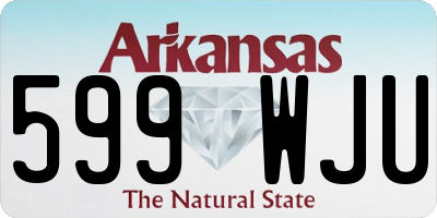 AR license plate 599WJU