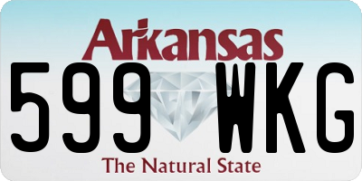 AR license plate 599WKG