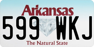 AR license plate 599WKJ