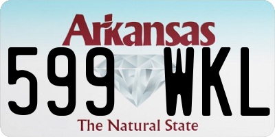 AR license plate 599WKL
