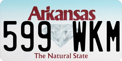 AR license plate 599WKM