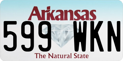 AR license plate 599WKN
