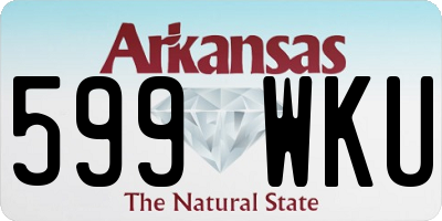 AR license plate 599WKU