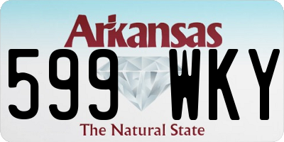 AR license plate 599WKY