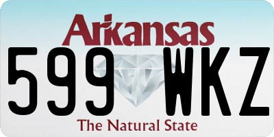 AR license plate 599WKZ