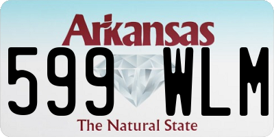 AR license plate 599WLM