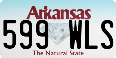 AR license plate 599WLS