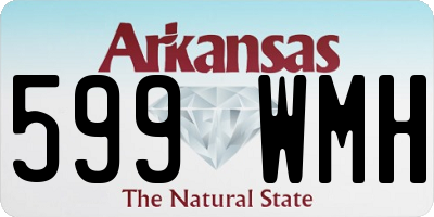 AR license plate 599WMH