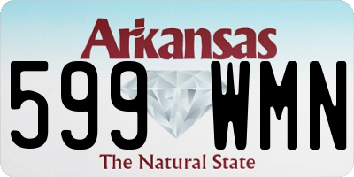AR license plate 599WMN