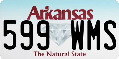 AR license plate 599WMS