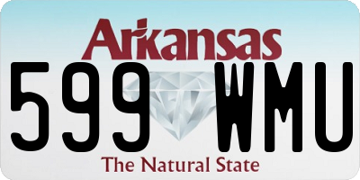 AR license plate 599WMU