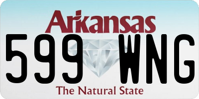 AR license plate 599WNG
