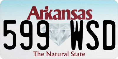 AR license plate 599WSD