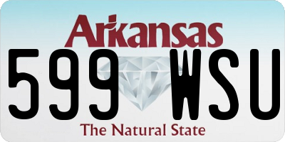 AR license plate 599WSU