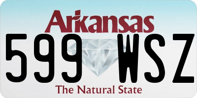 AR license plate 599WSZ