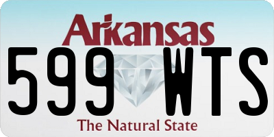AR license plate 599WTS
