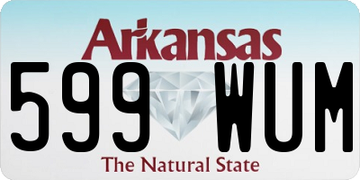 AR license plate 599WUM