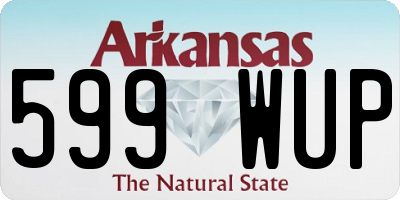 AR license plate 599WUP