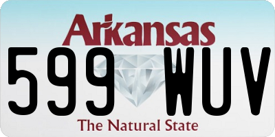 AR license plate 599WUV