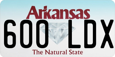 AR license plate 600LDX