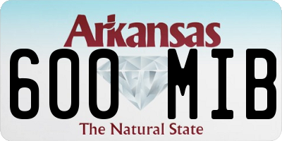 AR license plate 600MIB