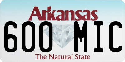AR license plate 600MIC