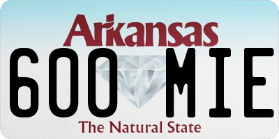 AR license plate 600MIE