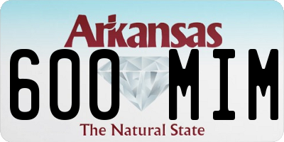 AR license plate 600MIM