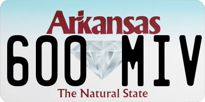 AR license plate 600MIV