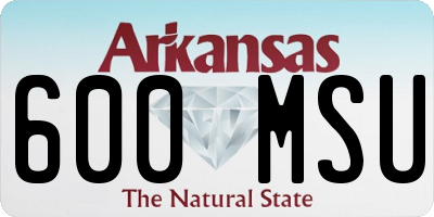 AR license plate 600MSU