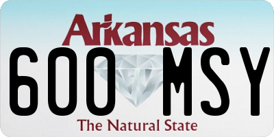 AR license plate 600MSY