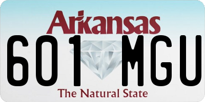 AR license plate 601MGU