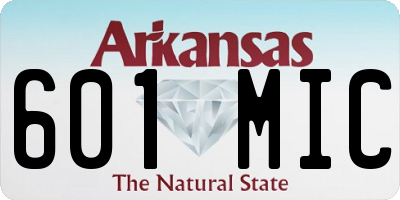 AR license plate 601MIC