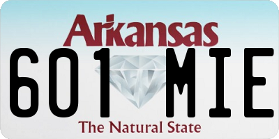 AR license plate 601MIE
