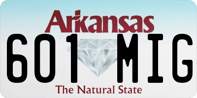 AR license plate 601MIG