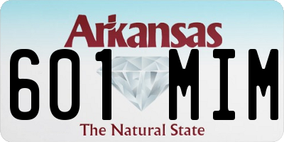 AR license plate 601MIM