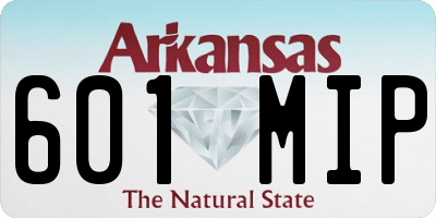 AR license plate 601MIP