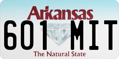 AR license plate 601MIT