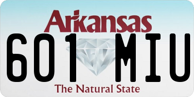 AR license plate 601MIU