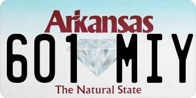 AR license plate 601MIY