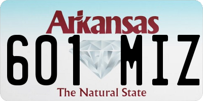 AR license plate 601MIZ