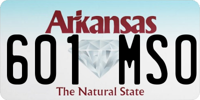 AR license plate 601MSO