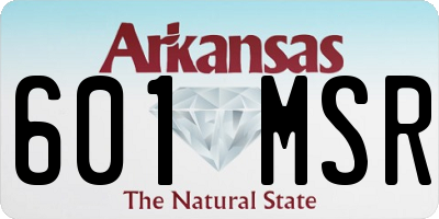 AR license plate 601MSR
