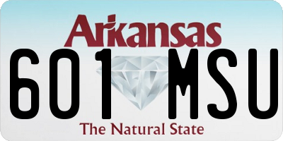 AR license plate 601MSU
