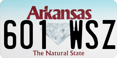AR license plate 601WSZ
