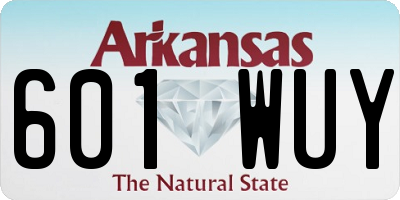 AR license plate 601WUY