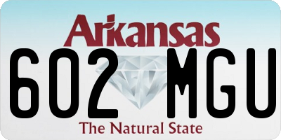 AR license plate 602MGU