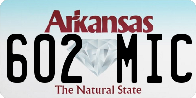 AR license plate 602MIC